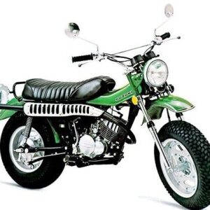 SUZUKI RV125 (1973-76) PARTS