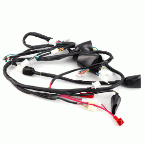 Lexmoto	Diablo 125 [LJ125T-8M] MAIN WIRING LOOM  WRLM130
