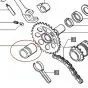 Tomos Kickstart Pinion MOST MODELS SEE LIST 209566 (GENUINE) - Image 3