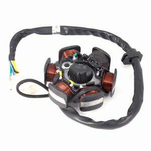 Lexmoto	Aspire 50 E4 [TD50Q, Hunter 50 [TD50Q] & E4 STATOR STTR056