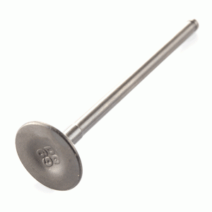 INLET VALVES