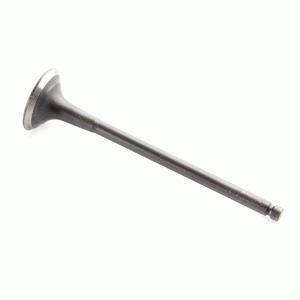EXHAUST VALVES