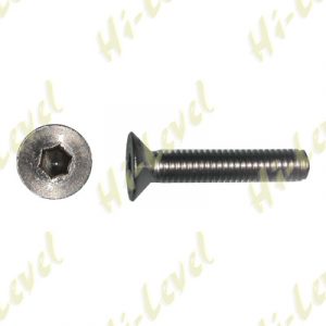 Countersunk Allen Screw 6mm x 30mm (M6 X1.00mm Pitch )