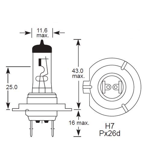 12 Volt 100W H7 PX26D base Head, Spot & Fog bulb B784B - Image 2