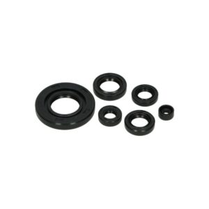 HONDA NSR50/80, MB50/80, MT50/80, MTX50/80 COMPLETE ENGINE OIL SEAL KIT BY DMP MMP12650