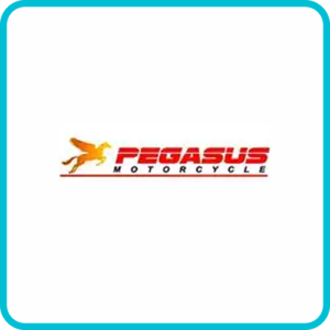 Pegasus Motorcycles Models & Years