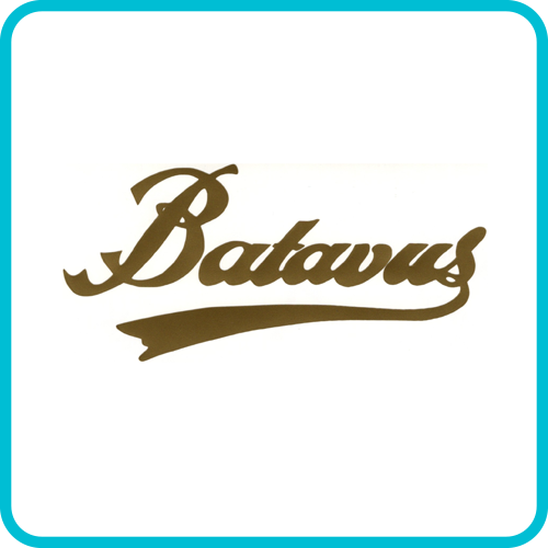 BATAVUS Motorcycles Models & Years
