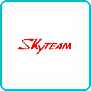 SKYTEAM MODELS & YEARS