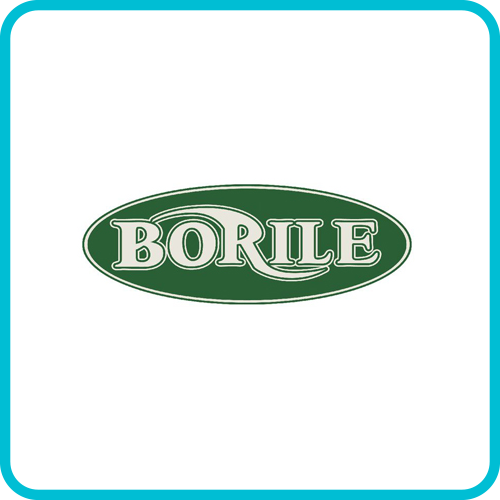 BORILE MOTORCYCLES MODELS & YEARS