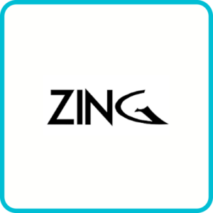 Zing Bikes Models & Years